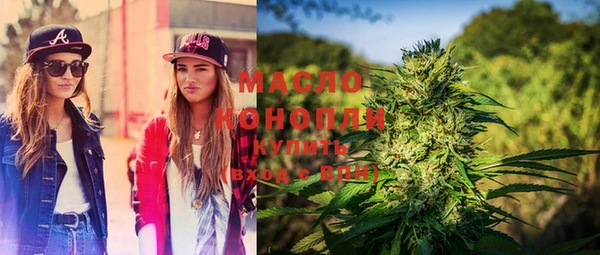 шишки Абаза