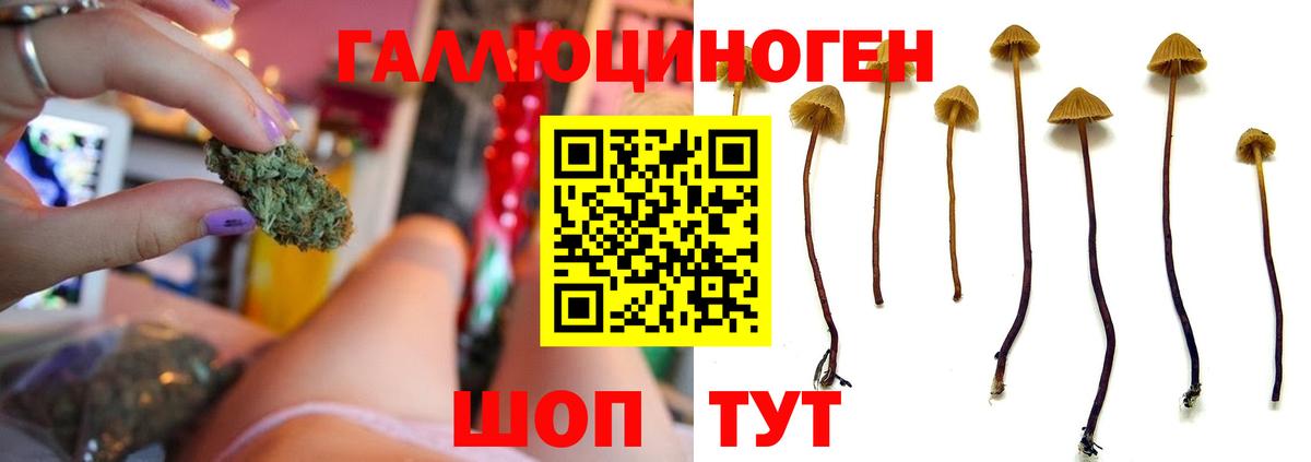 Тейково  Галлюциногенные грибы ЛСД  Вход с VPN 