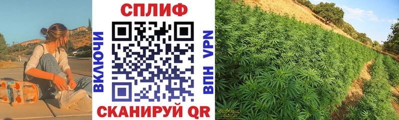 Каннабис OG Kush  Тейково 